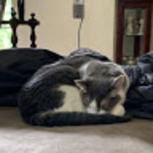 Meet your Posher, Robert